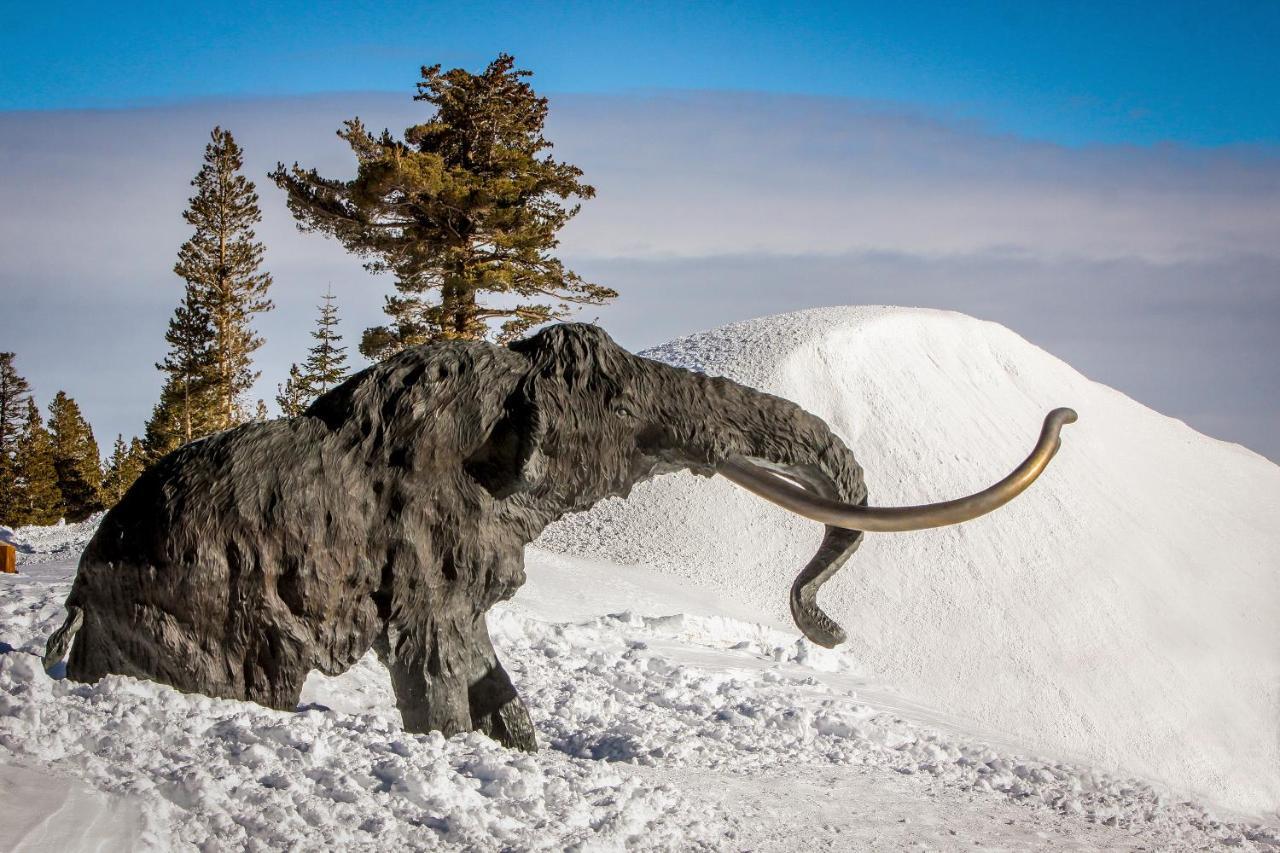 Woodlands 34 Daire Mammoth Lakes Dış mekan fotoğraf